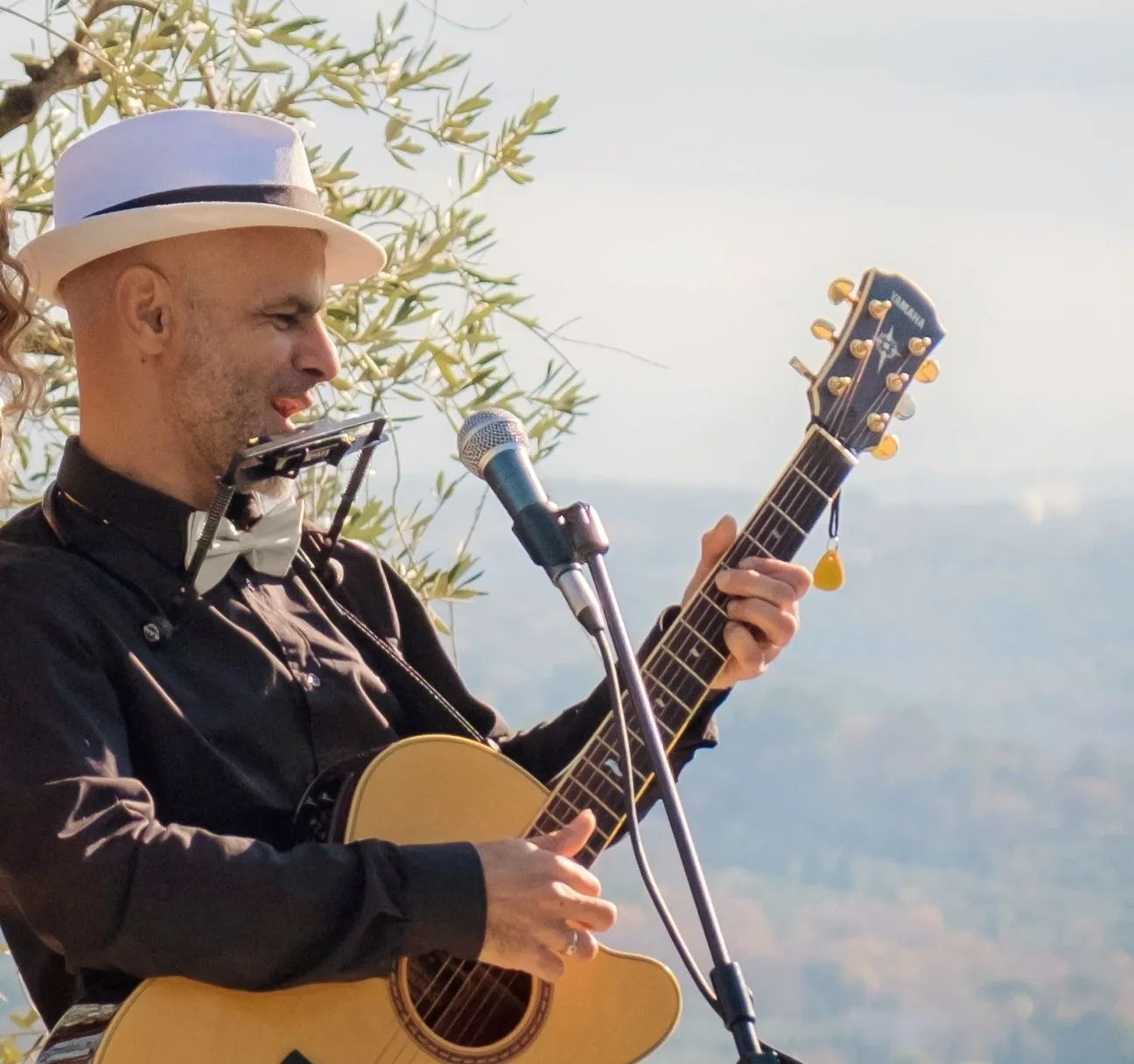 JEF SOLO MUSICIEN LIVE — Animation à Biot