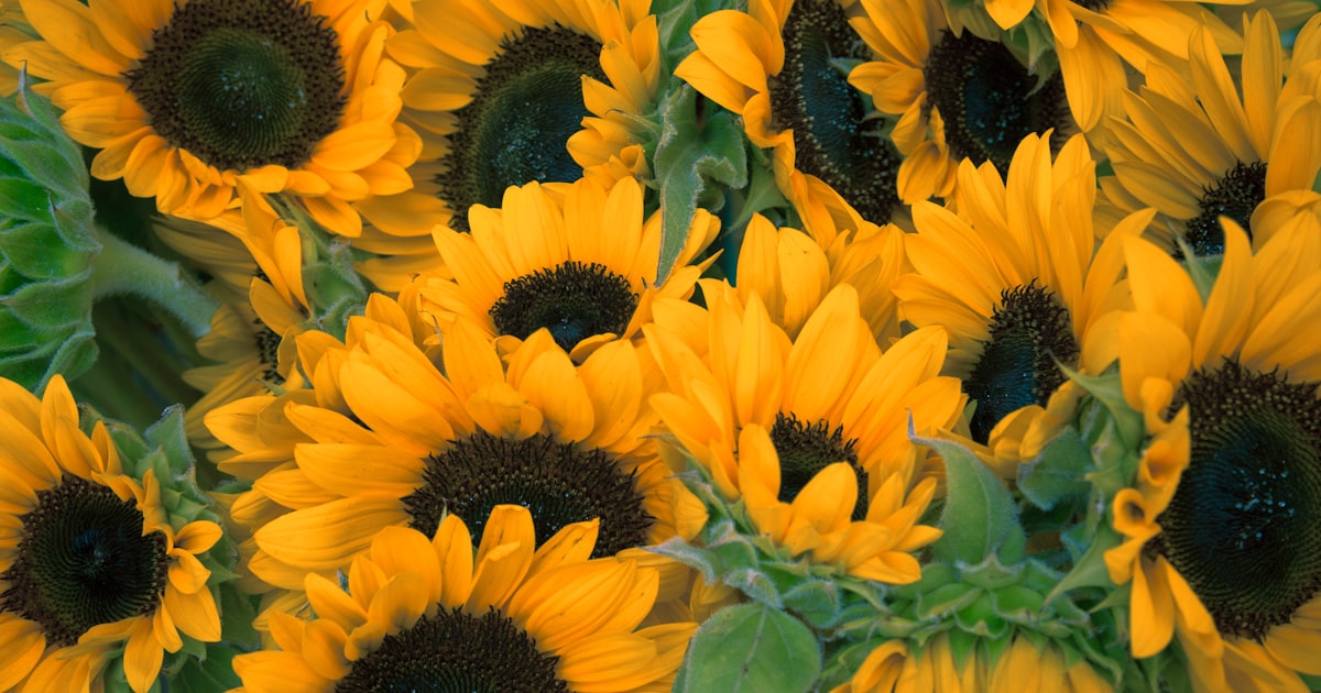 Bouquet de mariee : comment le choisir